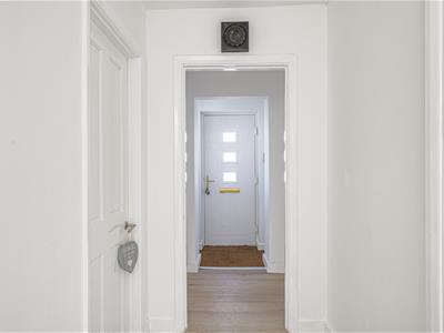 Picture 41
